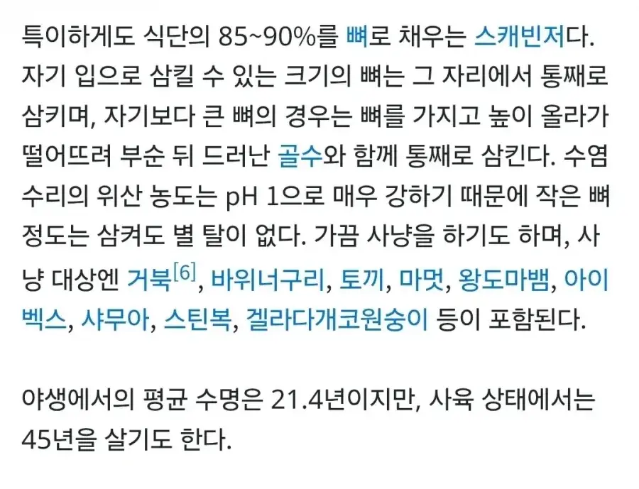 20260828182913_GFOFoyJiIe.webp