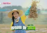 노윤서 짬뽕 먹방