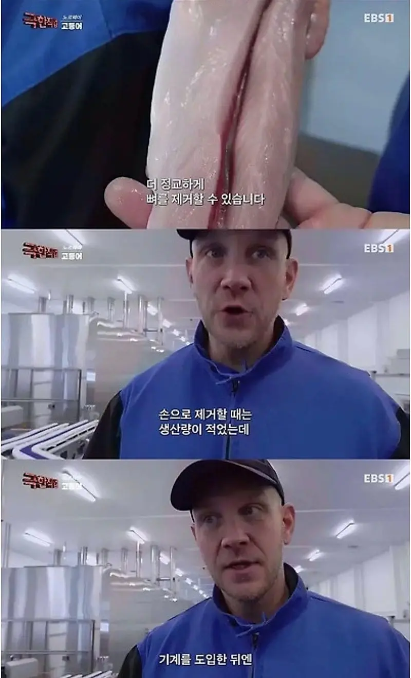 노르웨이에서 고등어 가시 제거하는 방법.jpg