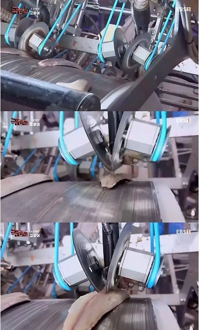 노르웨이에서 고등어 가시 제거하는 방법.jpg