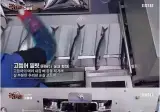 노르웨이에서 고등어 가시 제거하는 방법