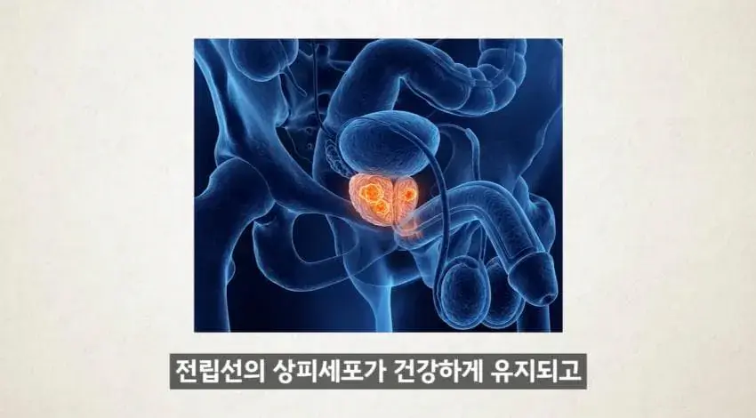 image.png 한달에 21번 사정해라