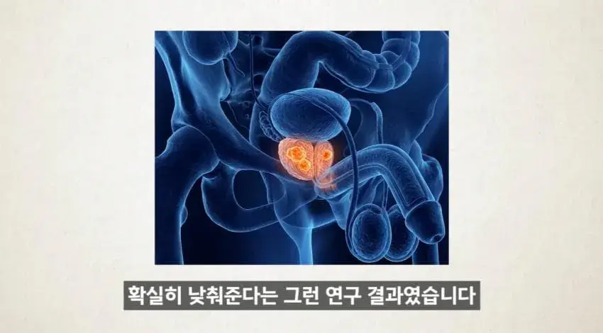 image.png 한달에 21번 사정해라