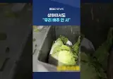 중국산 김치 무서워서 먹겠나. 오줌 맥주에..
