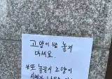 상남자식 캣맘 대처법.jpg