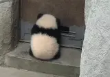 알고보니 내 말이 맞았을때 표정 ㅎㅎ