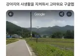 강아지의 사생활을 지켜줘서 고마워요 구글맵.jpg