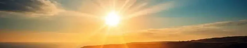 7f077077-786e-4976-82f4-972aa326a6f9_03.webp