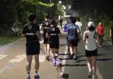 요새 런라니가 늘은 이유