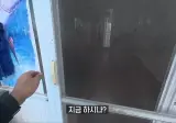 울릉도에서 혼자 밥먹는게 쉽지 않은 이유
