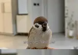내 지금나이가 엄마가 날 낳았던나이야.jpg