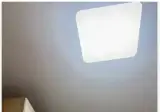알리에서 고양이용 사다리에 달린 후기