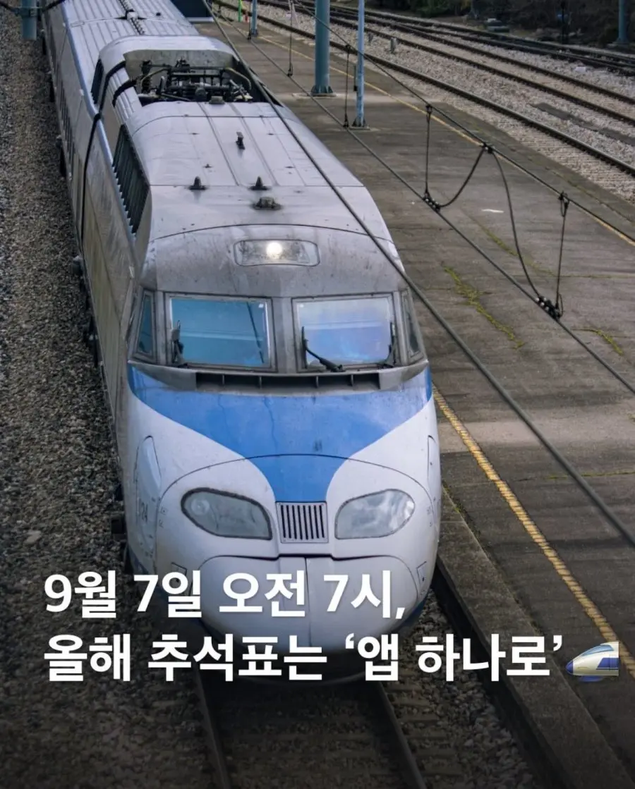 20260901232745_1yNRutI1xR.png