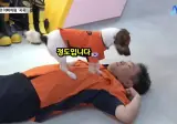 현재 난리난 CPR '심폐소생견' .gif