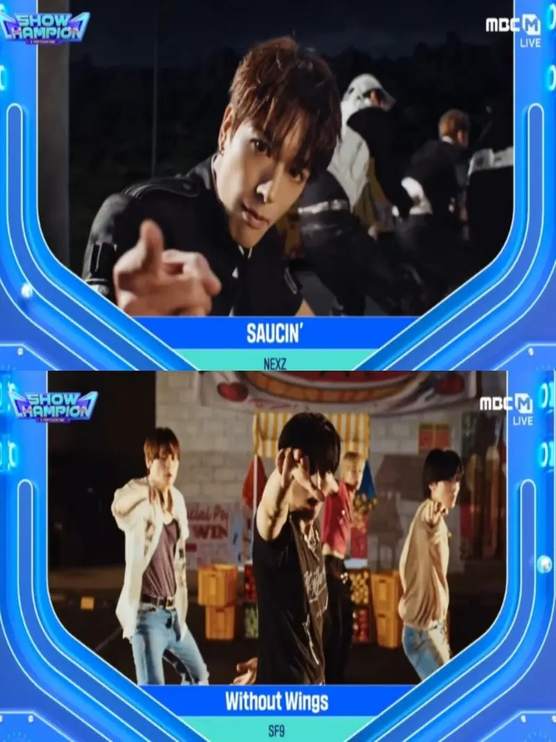 Show Champion 03.jpg