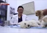 의사쌤 : 환자분 진료중에 주무시면 안되요.