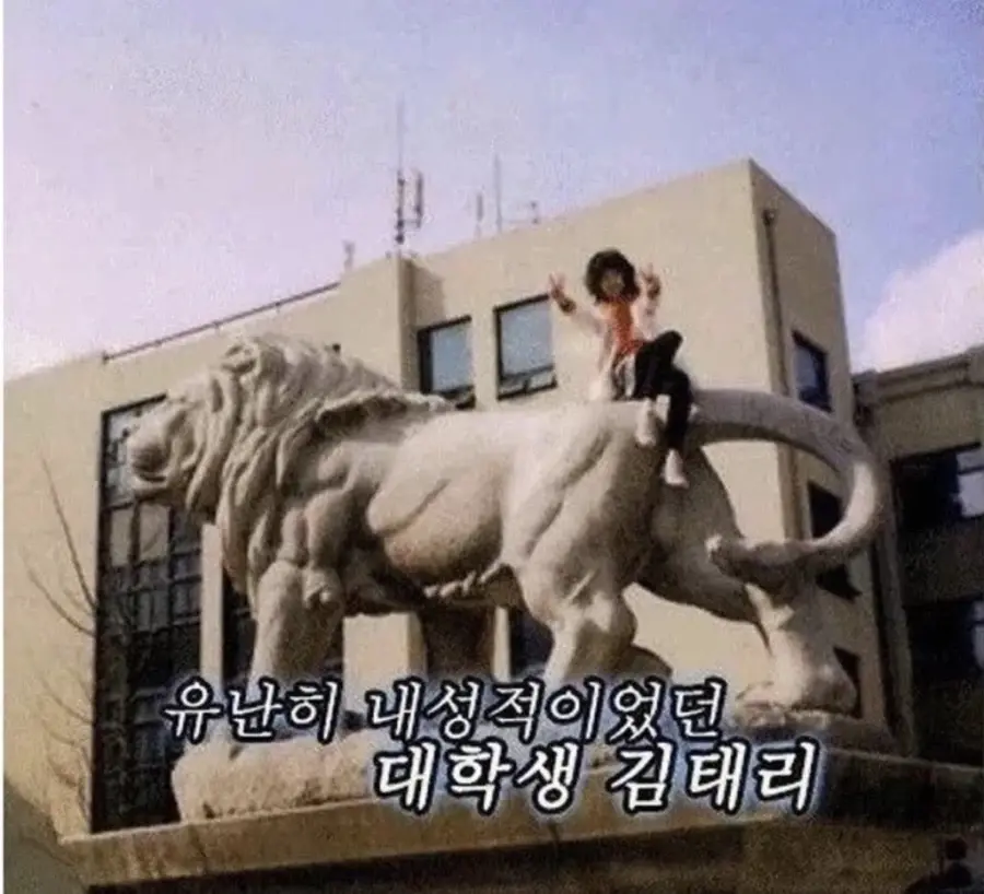 1a065ec3116265ad2.webp