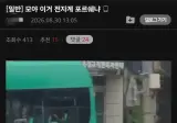 대체 왜 단속을 안하는지 이해가 안가는 교통수단