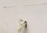 울집 고양이 조용하길래 뭐하나봤더니.jpg