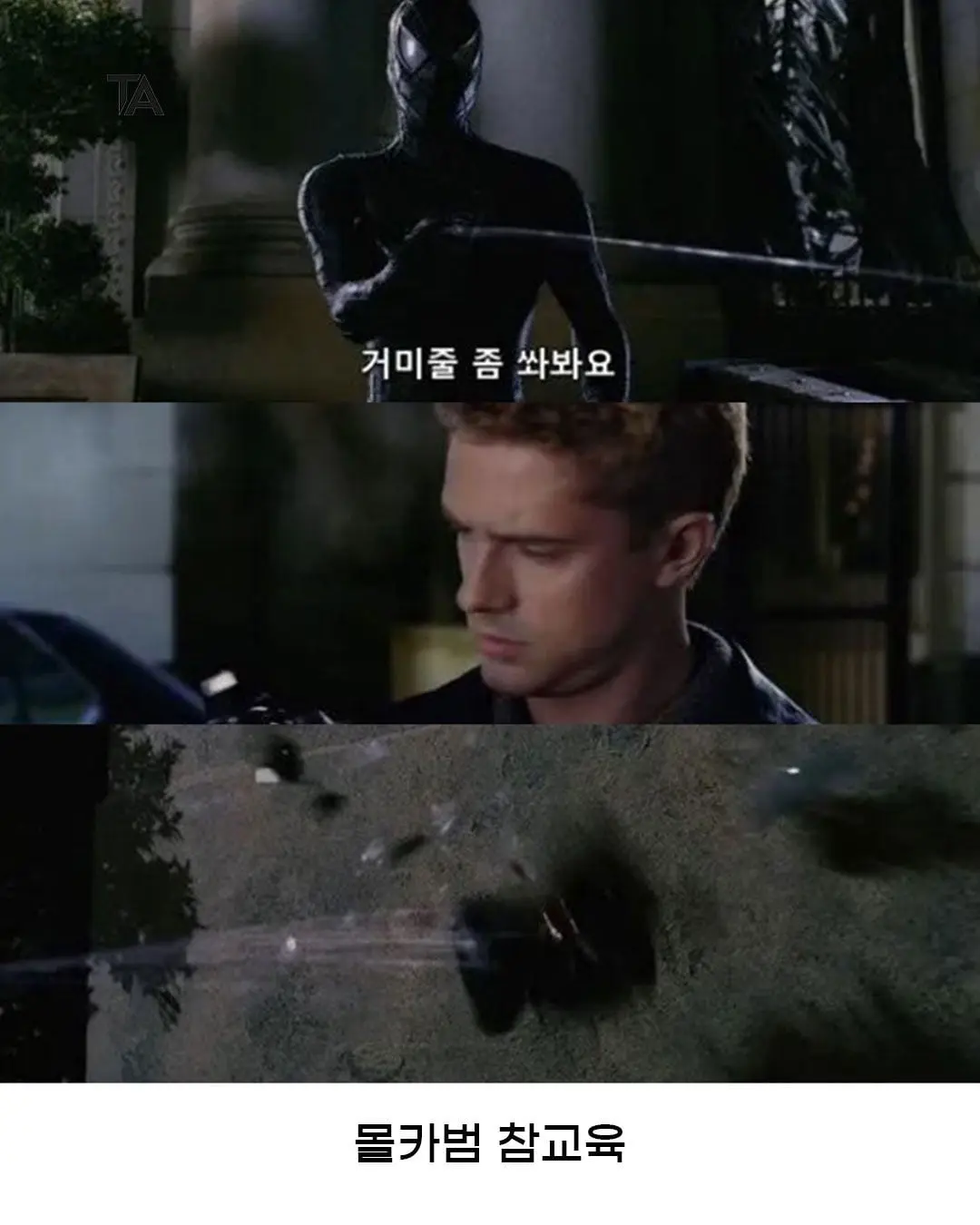 SaveClip.App_765887025_1075657104847408_6824516682787566515_n.jpg