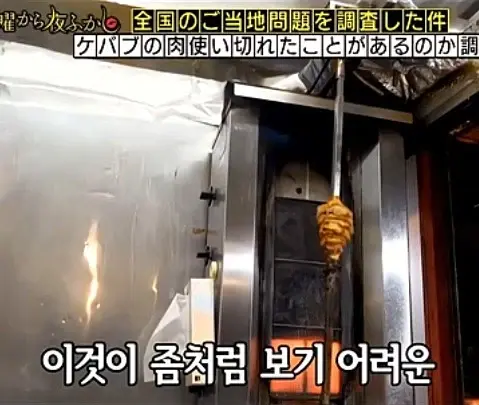 24.webp