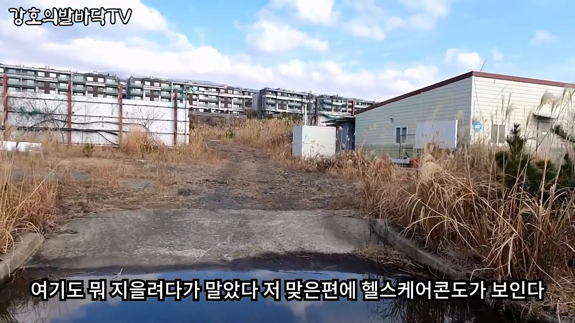 심각한 제주도, 결국 터질게 다터진다 _ 몇년전부터 경고했는데._20260903_194416.560.jpg