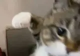 너무 환불받고 싶었던 아주머니.gif