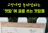 고양이 밥 주지 말라는 팻말에 클리발기한 캣맘들