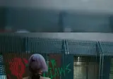 드디어 나온 사펑2077 3인칭모드.mp4
