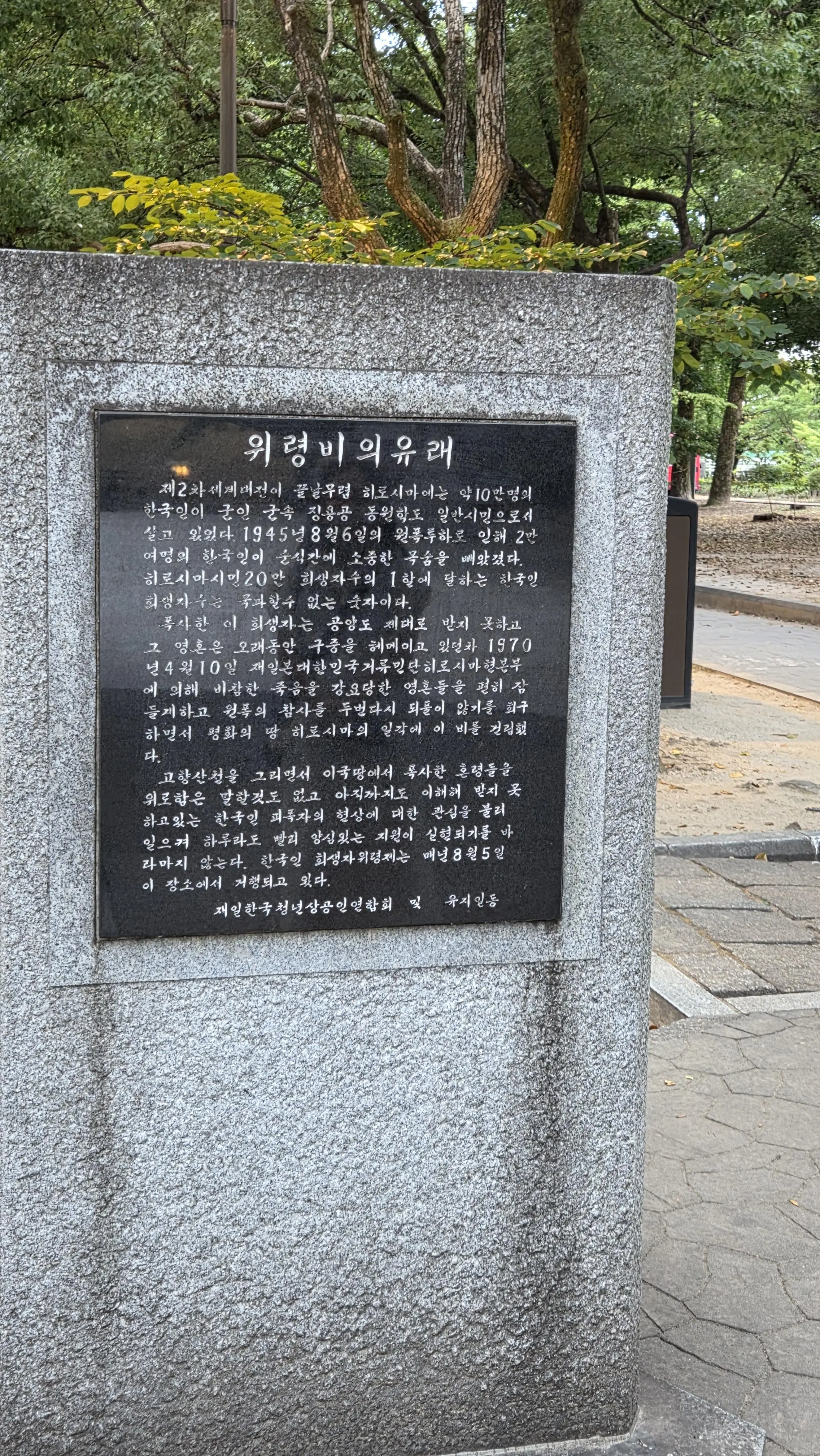 20260902_181141.jpg