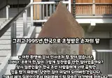 역사) 관동대지진 때 한국인 구한 일본인, 72년 뒤 그의 손자가 한 말.jpg