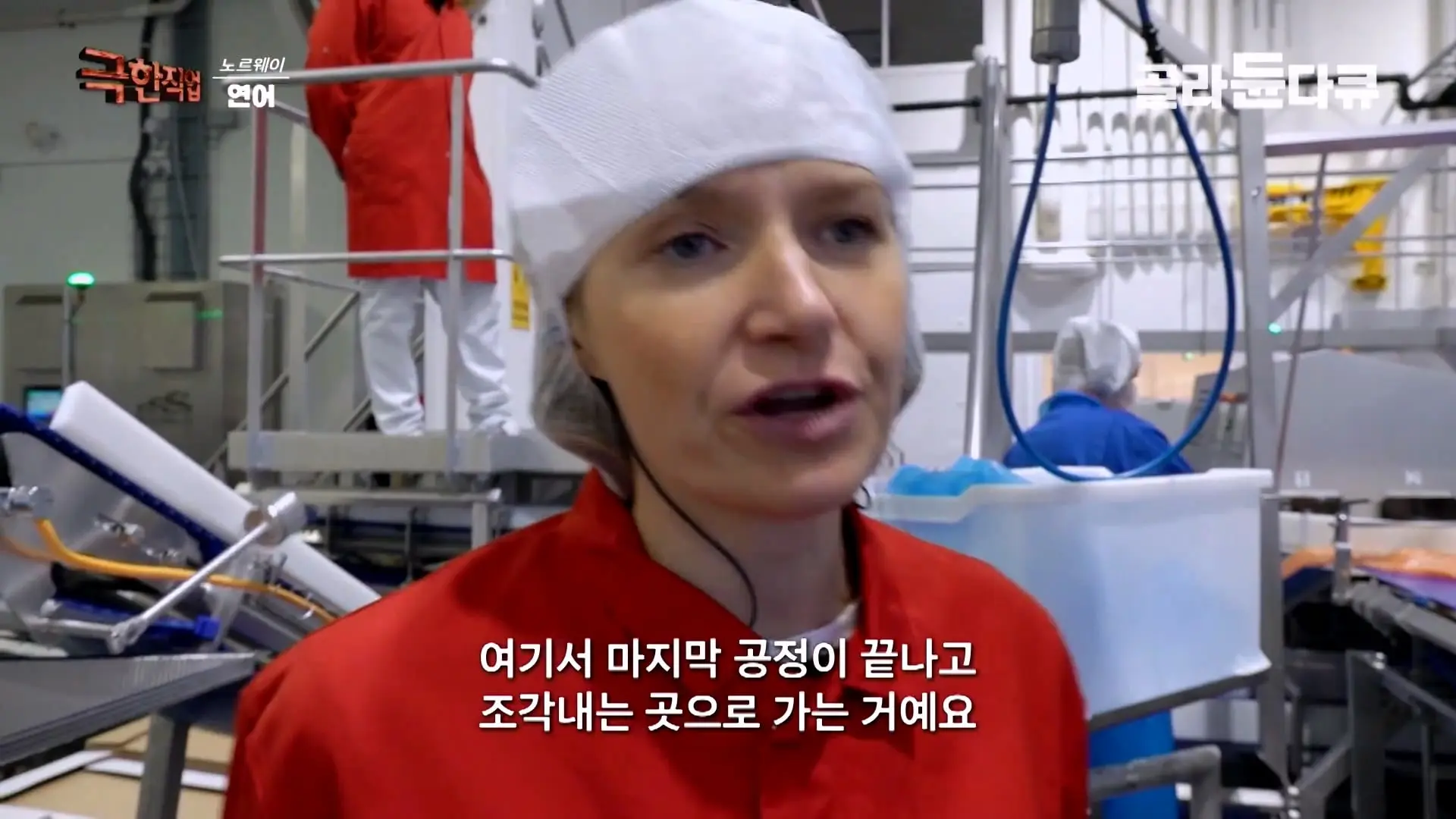 처음부터 끝까지 놀라는 연어 양식. 통에 넣으면 순살이 되어 나오는 노르웨이 연어 공장｜극한직업｜#골라듄다큐_20260905_141121.188.jpg