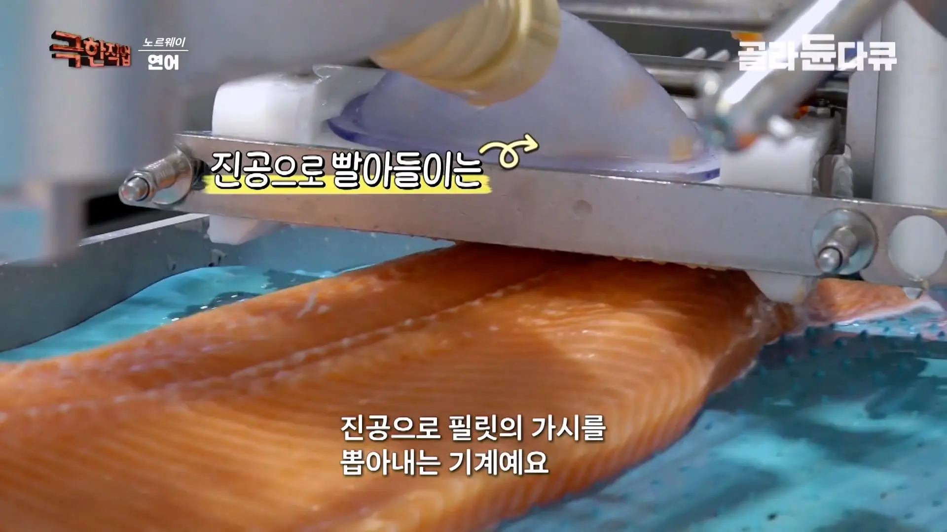 처음부터 끝까지 놀라는 연어 양식. 통에 넣으면 순살이 되어 나오는 노르웨이 연어 공장｜극한직업｜#골라듄다큐_20260905_141016.173.jpg