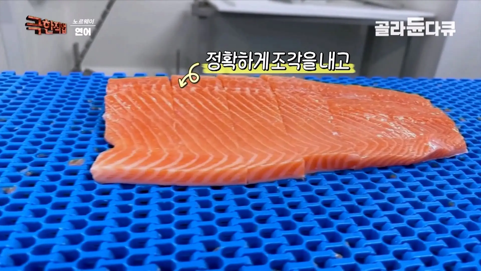 처음부터 끝까지 놀라는 연어 양식. 통에 넣으면 순살이 되어 나오는 노르웨이 연어 공장｜극한직업｜#골라듄다큐_20260905_141141.516.jpg