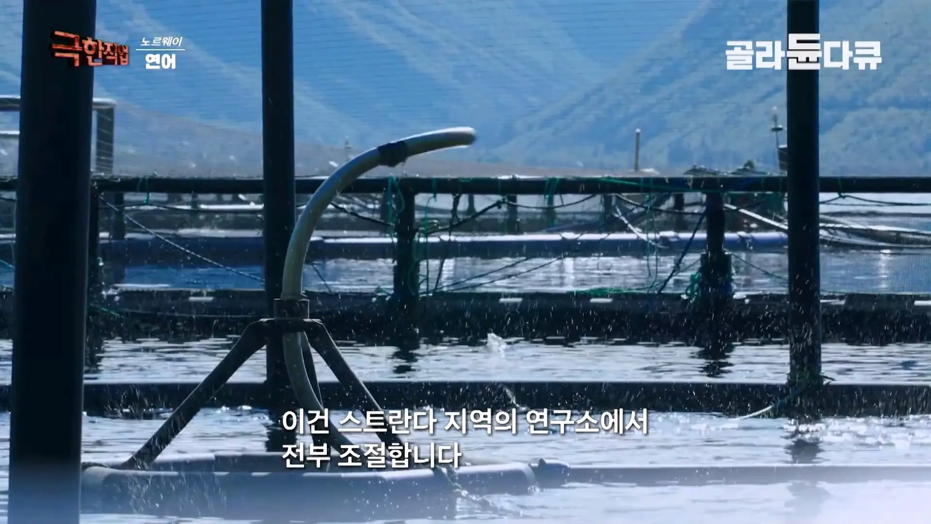 처음부터 끝까지 놀라는 연어 양식. 통에 넣으면 순살이 되어 나오는 노르웨이 연어 공장｜극한직업｜#골라듄다큐_20260905_140348.645.jpg