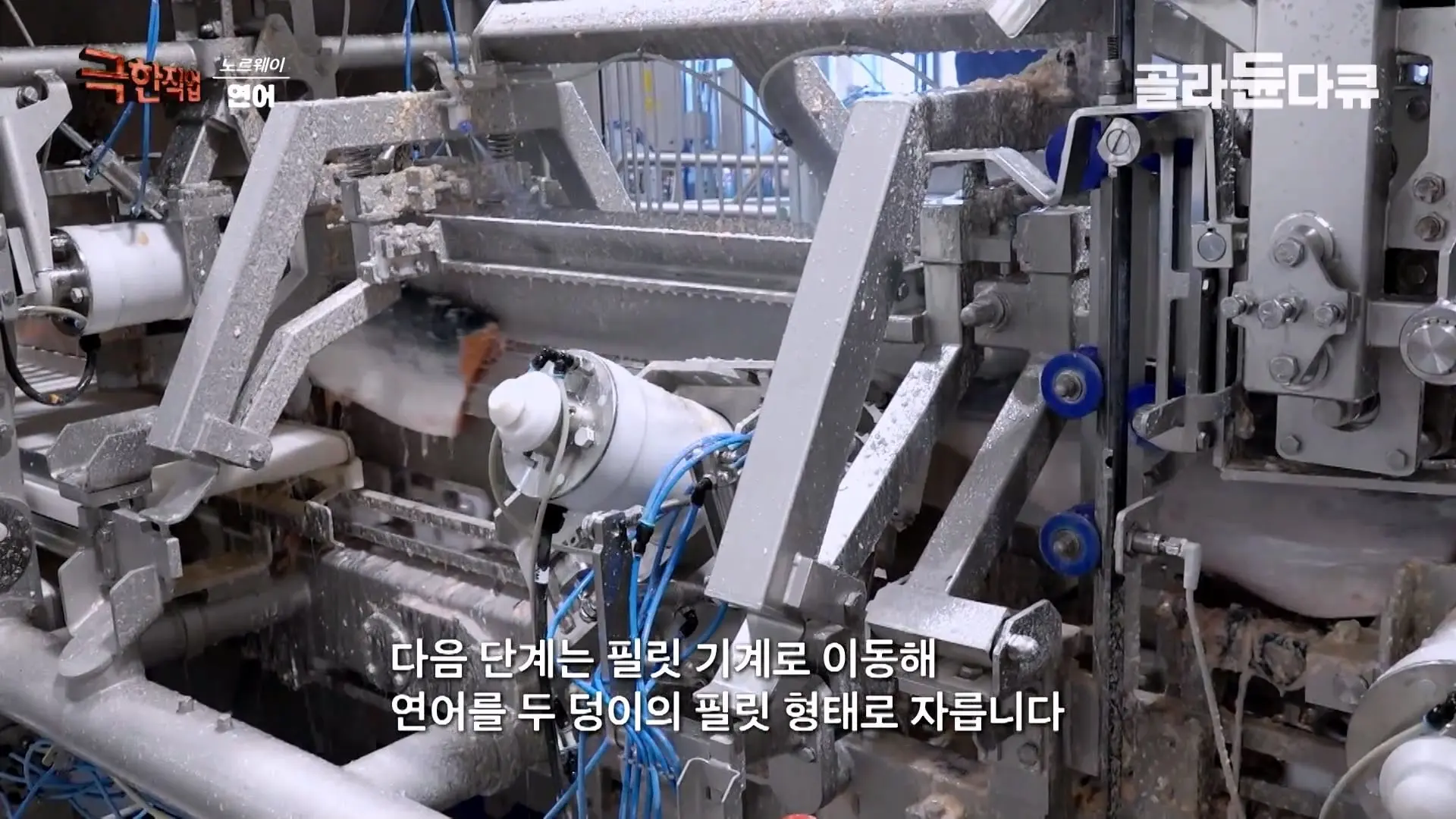 처음부터 끝까지 놀라는 연어 양식. 통에 넣으면 순살이 되어 나오는 노르웨이 연어 공장｜극한직업｜#골라듄다큐_20260905_140749.733.jpg