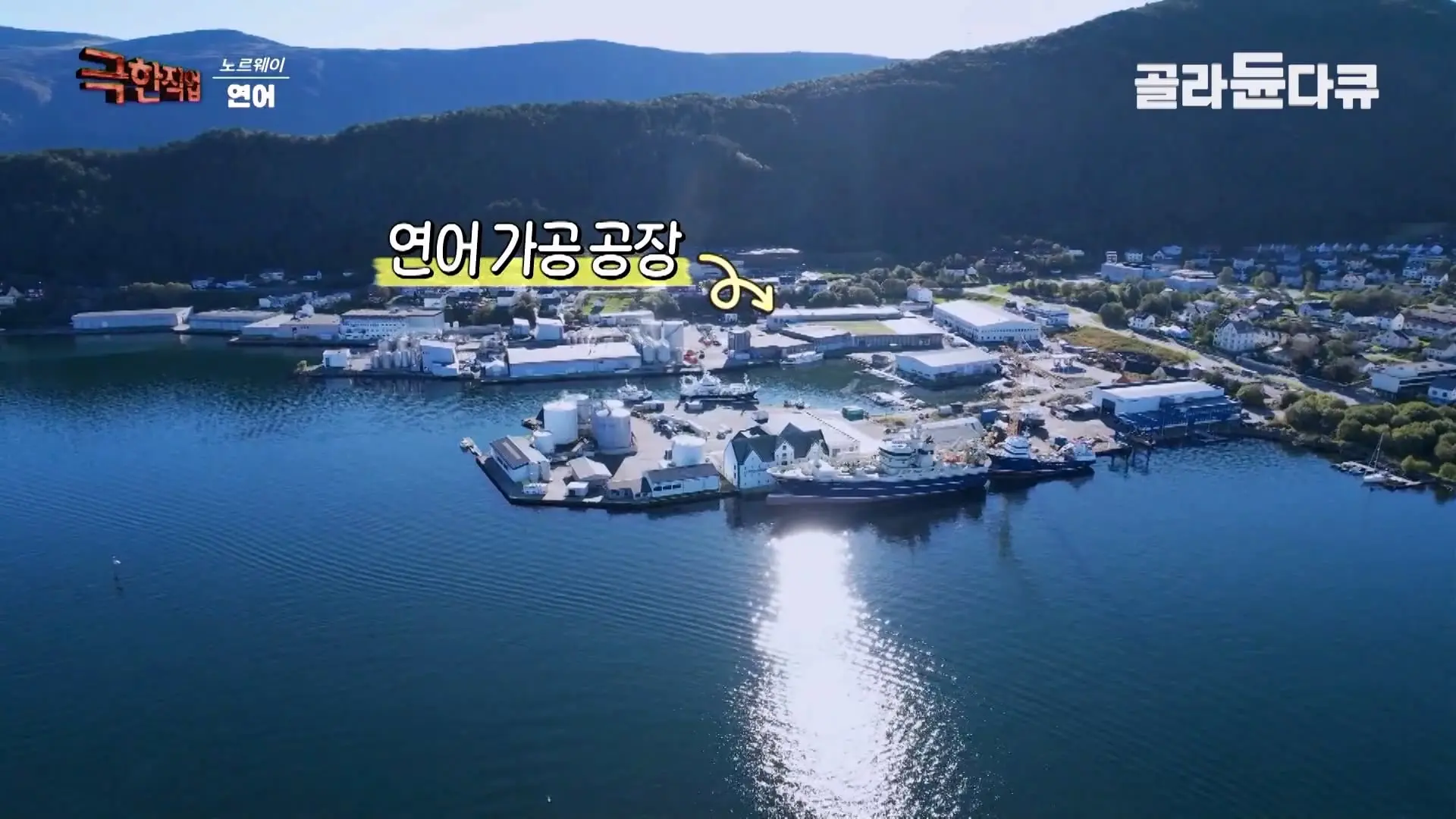 처음부터 끝까지 놀라는 연어 양식. 통에 넣으면 순살이 되어 나오는 노르웨이 연어 공장｜극한직업｜#골라듄다큐_20260905_140542.868.jpg