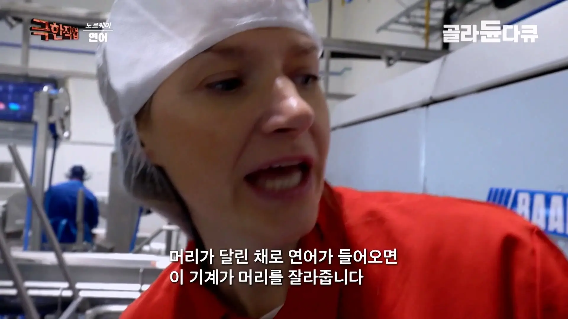 처음부터 끝까지 놀라는 연어 양식. 통에 넣으면 순살이 되어 나오는 노르웨이 연어 공장｜극한직업｜#골라듄다큐_20260905_140705.788.jpg