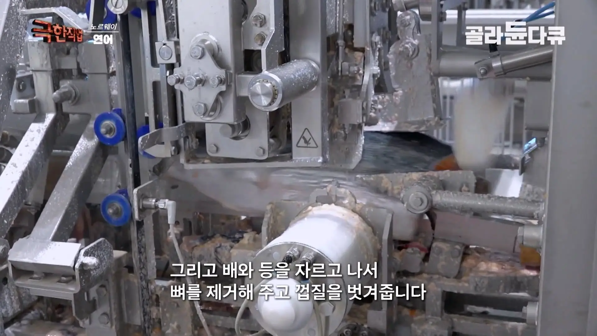 처음부터 끝까지 놀라는 연어 양식. 통에 넣으면 순살이 되어 나오는 노르웨이 연어 공장｜극한직업｜#골라듄다큐_20260905_140804.876.jpg