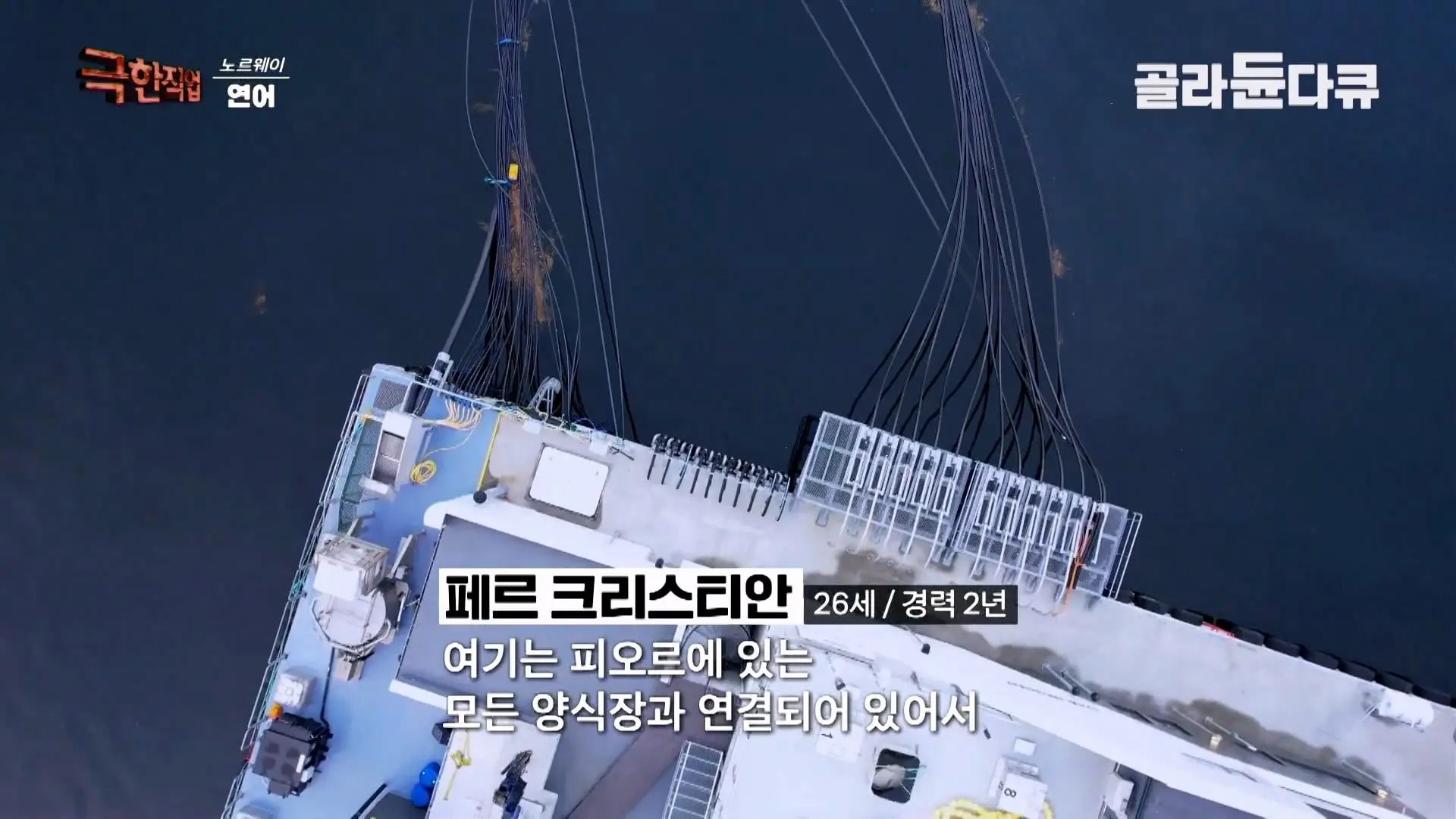 처음부터 끝까지 놀라는 연어 양식. 통에 넣으면 순살이 되어 나오는 노르웨이 연어 공장｜극한직업｜#골라듄다큐_20260905_140400.317.jpg