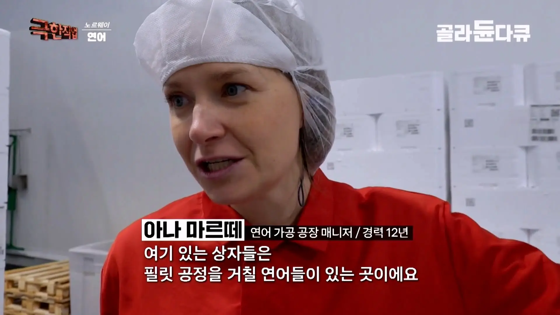 처음부터 끝까지 놀라는 연어 양식. 통에 넣으면 순살이 되어 나오는 노르웨이 연어 공장｜극한직업｜#골라듄다큐_20260905_140614.292.jpg