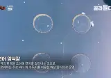 자동화가 많이되었는다는 노르웨이 연어 가공 공장.jpg