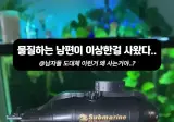 남편이 또 이상한걸 사왔다.mp4