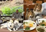 강아지도 사찰복 입고 스님과 차담..댕플스테이' 인기