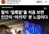 와진심 개웃기네 ㅅ발