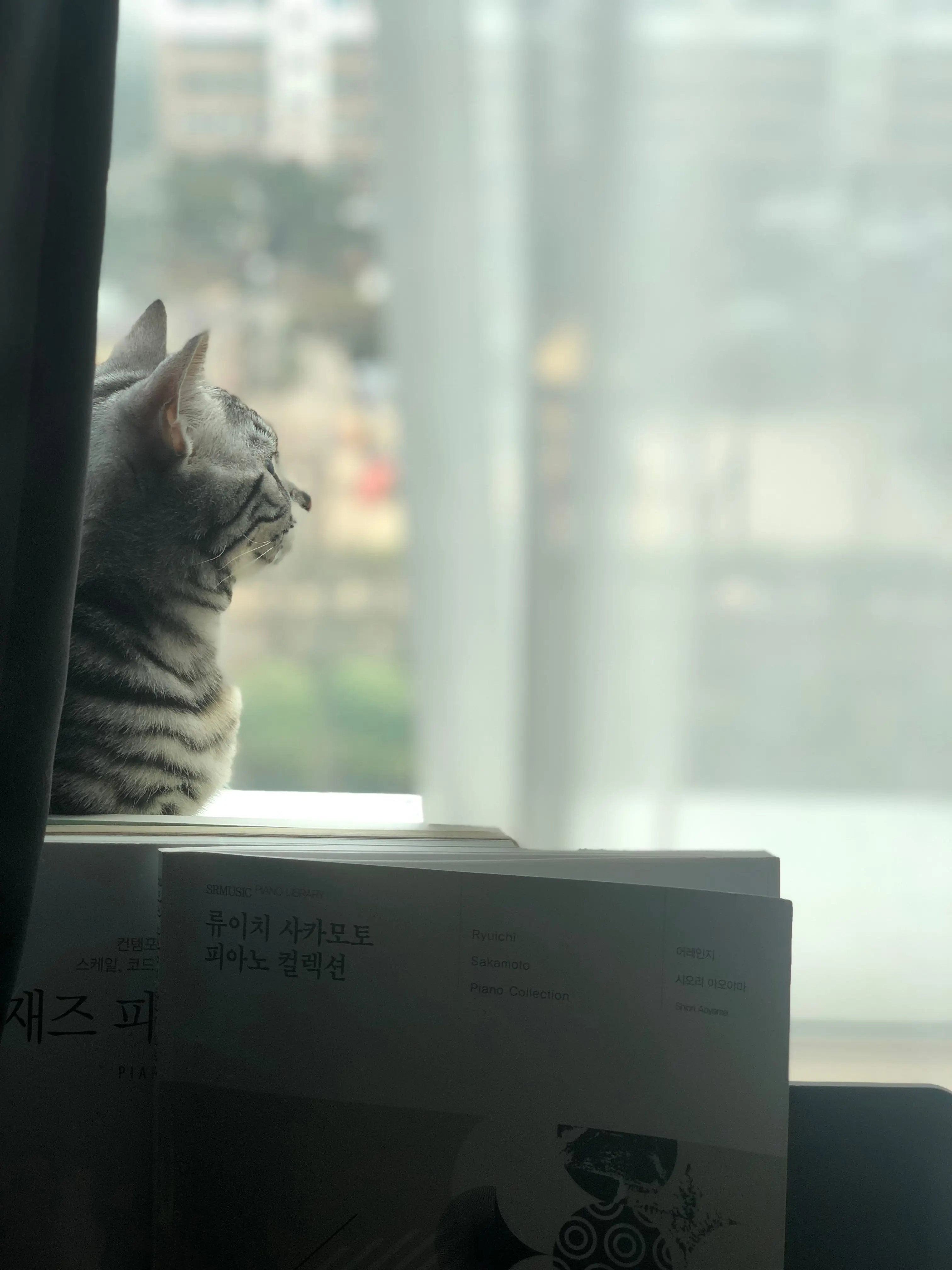 IMG_8273.jpeg
