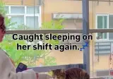 길냥이 천국 터키 지하철
