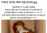 이렇게 귀여운택배 처음 받아봐.jpg