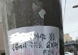 비둘기맘과의 전쟁을 선포한 캣맘.jpg