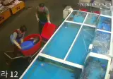 어젯자 횟집 수족관 참사